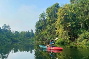Cardamom Travel Tips Guide: Cultural Insights, Costs & Eco-Tours